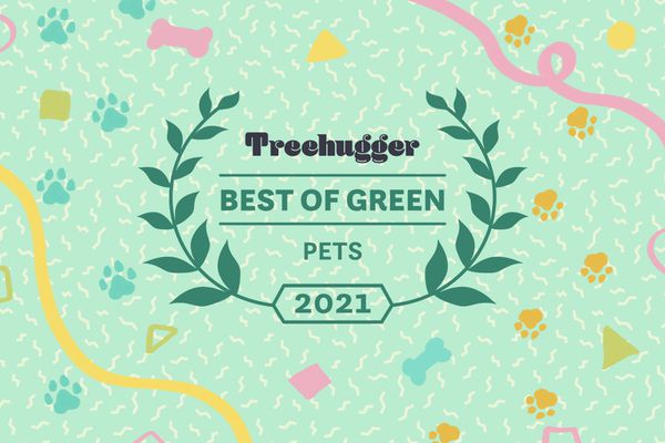 生态宠物奖励recirc